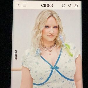 Cider Floral Baby Blue V-Neck Bowknot Top 4X